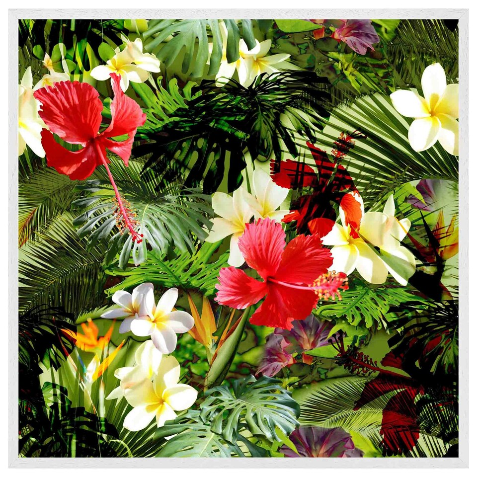 image 1 of Tropical foliage (Picutre Frame) White | M