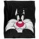 image 1 of Looney Tunes Sylvester Blanket - Multicoloured - One Size