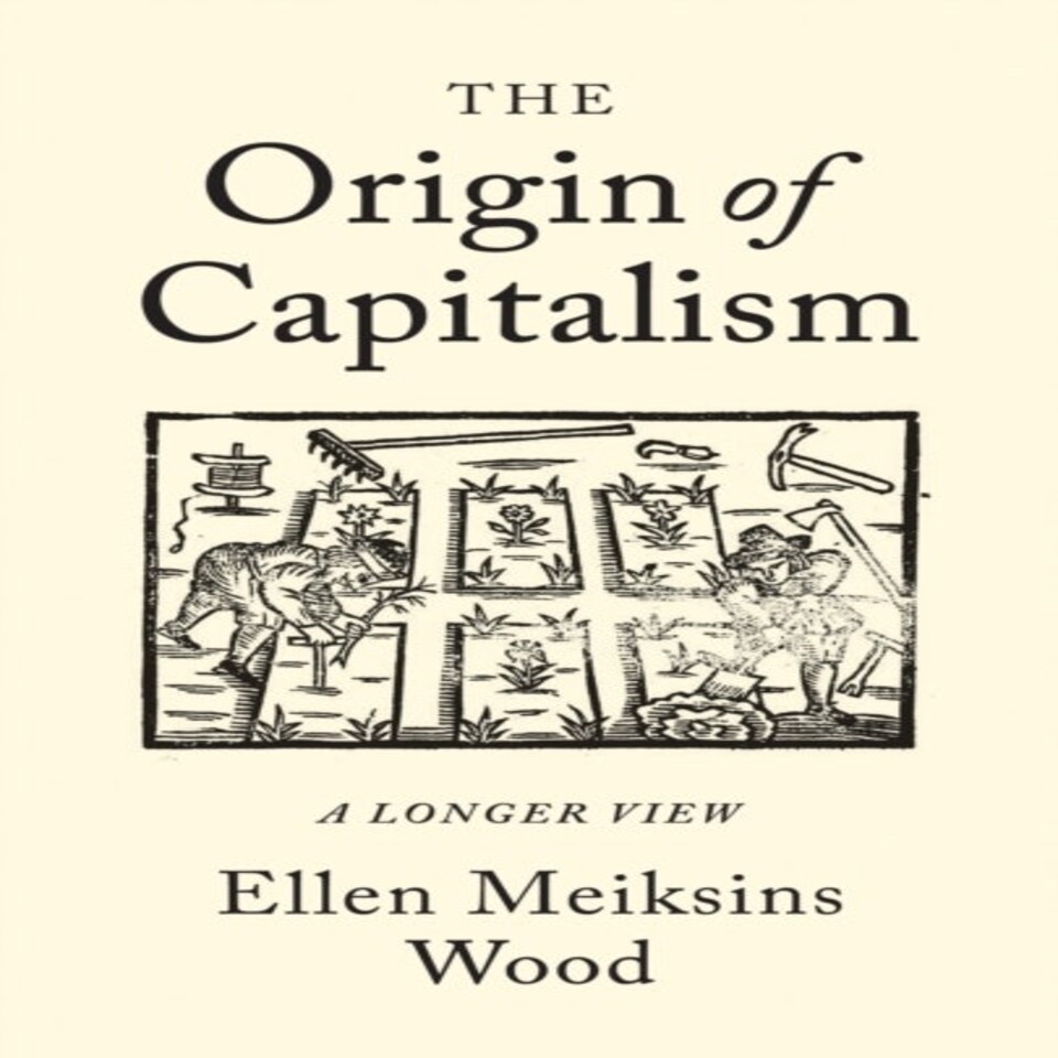 The Origin Of Capitalism