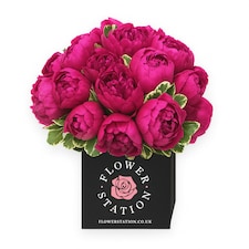 Velvet Bloom Bouquet
