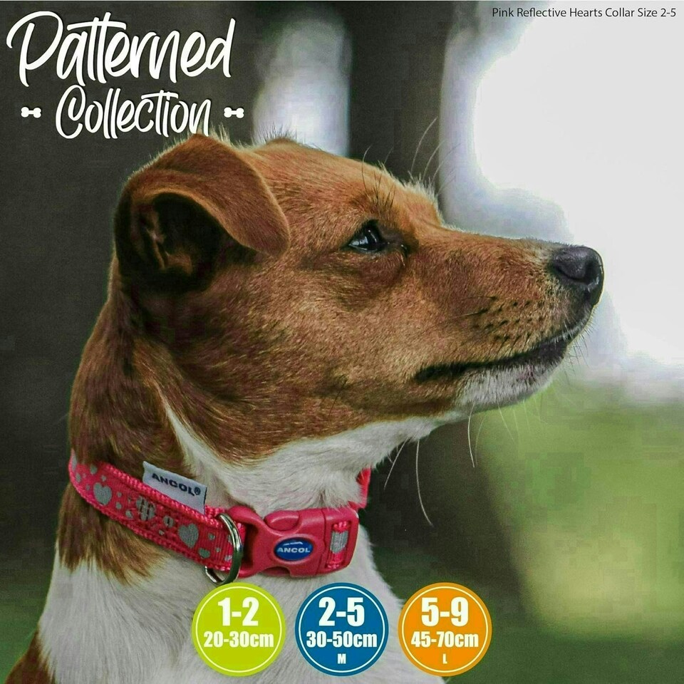 image 1 of Ancol Fashion Collar, Medium