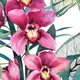 image 4 of Superfresco Easy Multi Aloha Tropical Wallpaper Multi | Multi