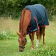 image 4 of Gallop Equestrian Trojan 200 Standard Turnout Red | Size: 5ft 6
Colour: Navy/Red
