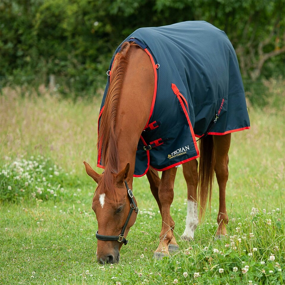 image 1 of Gallop Equestrian Trojan 200 Standard Turnout Red | Size: 5ft 6
Colour: Navy/Red