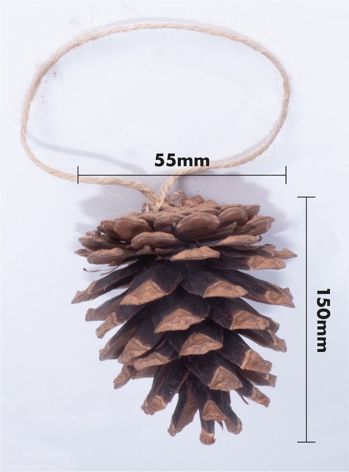 image 1 of St Helens Brown Hanging Pinecones - Set Of 6