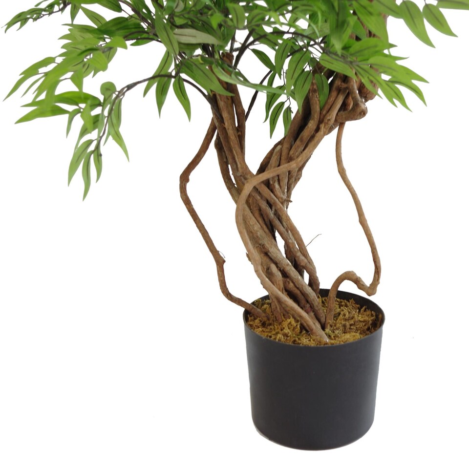 image 1 of 140cm Leaf Realistic Artificial Japanese Fruticosa Ficus Tree, Green Silver | Green | 4ft