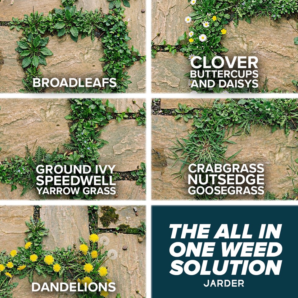 image 1 of Jarder Path and Patio Weed Killer 5L