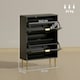 image 7 of HOMCOM Slim Shoe Storage Cabinet with 2 Flip Drawers for Hallway Black | Gold | 60W x 24D x 91.5H cm