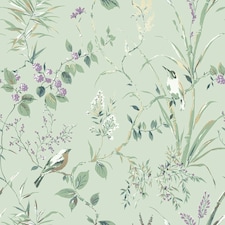 Crown Mariko Bird Wallpaper - Green - 10m x 53cm Green