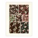 image 1 of Pink Green Floral Patterns Racinet Vintage Wall Art Poster Print 12X16"