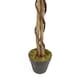 image 5 of 150cm Artificial White Blossom Tree