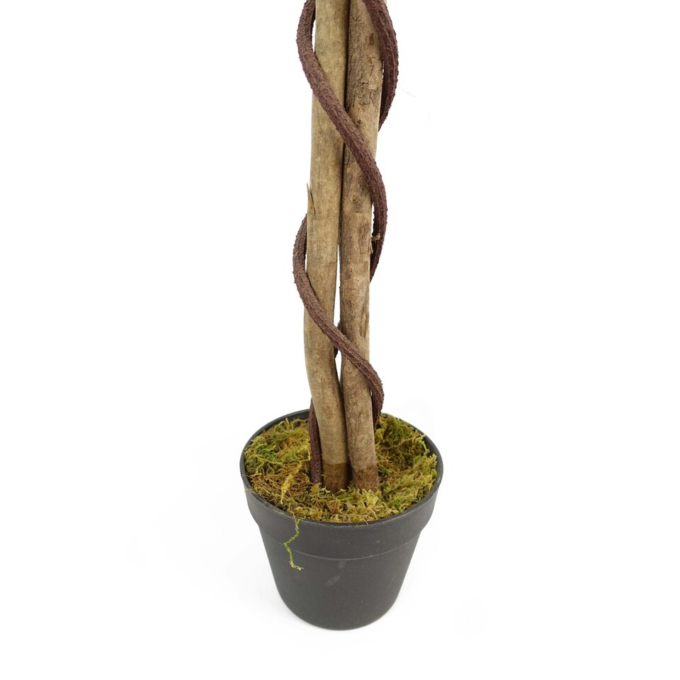 image 1 of 150cm Artificial White Blossom Tree