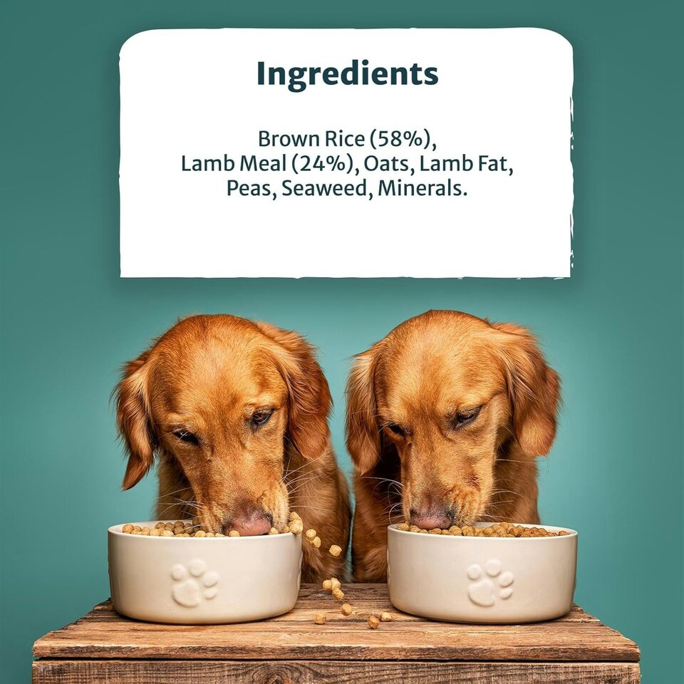 image 1 of Burns Pet Nutrition Hypoallergenic Complete Dry Dog Food Adult and Senior Dog Original Lamb and Brown Rice 12 kg