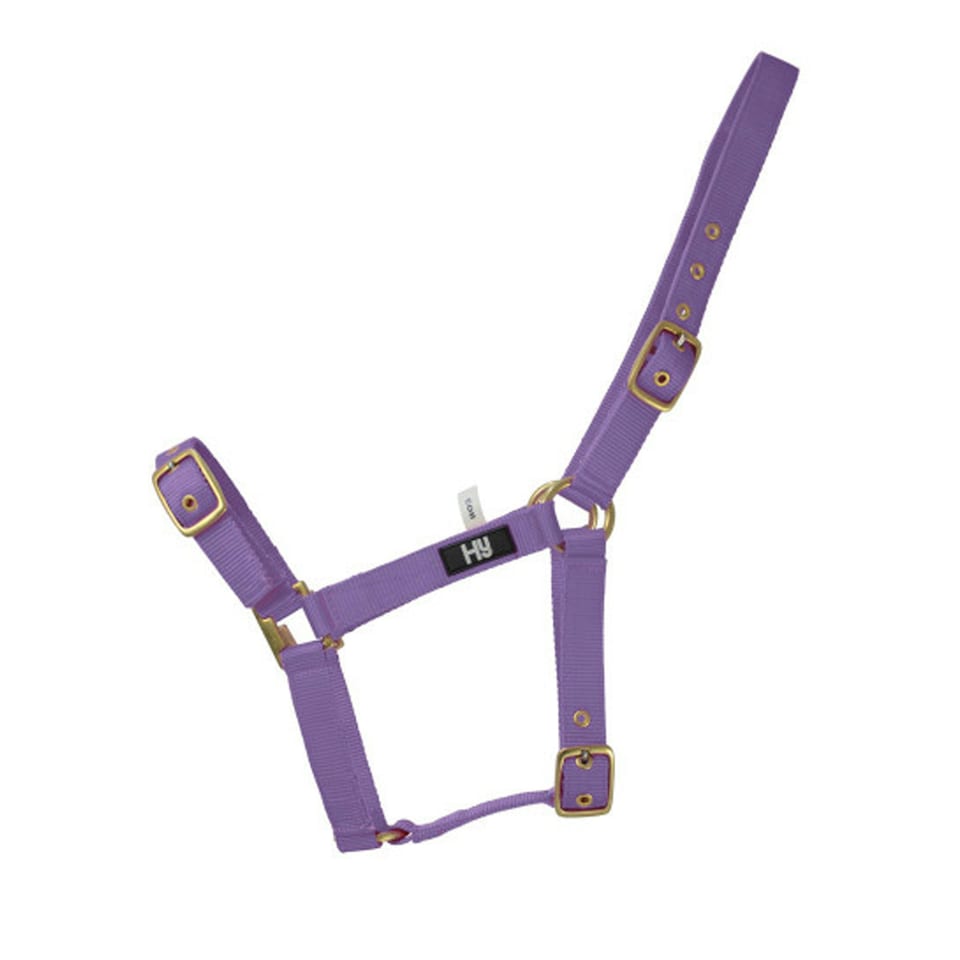 Hy Holly Fully Adjustable Head Collar - Purple - Pony
