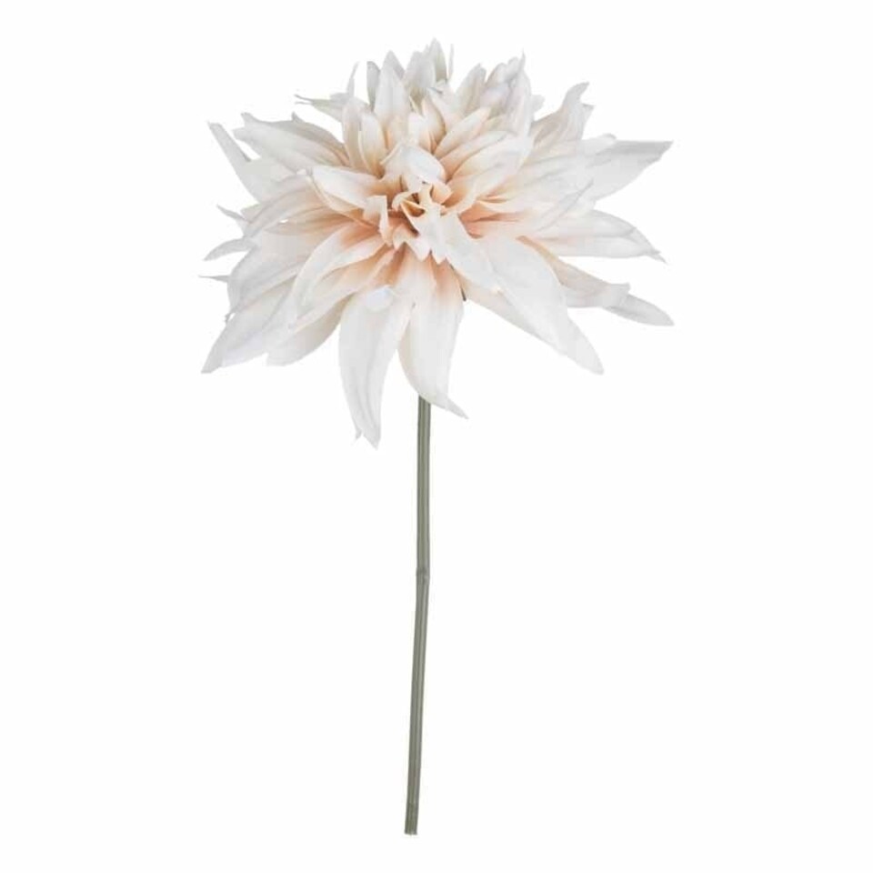 image 1 of Cafe Au Lait Artificial Flower - Plastic - L18 x W18 x H30 cm - Orange
