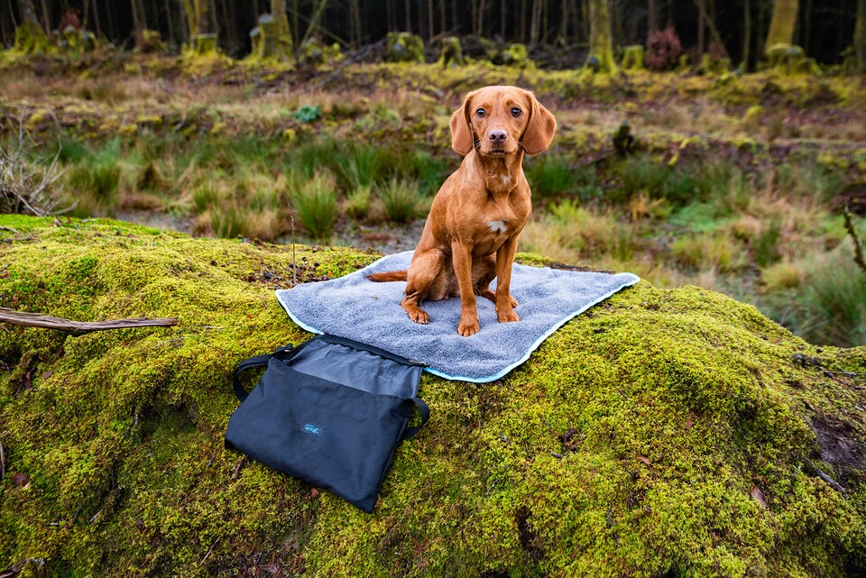 image 1 of Henry Wag Easy-Roll Travel Pet Bed & Large Travel Bowl 750ml Combo