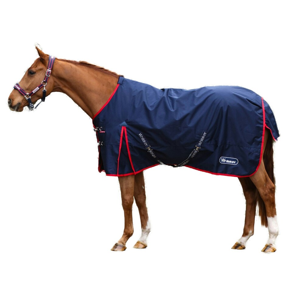 image 1 of Whitaker Rastrick V2 Fixed Neck Airflow Horse Turnout Rug - Navy - 6´ 9"