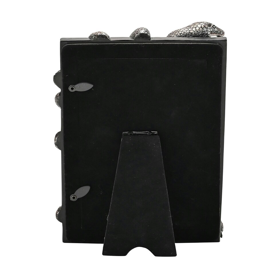 image 1 of Warner Bros Harry Potter Dark Arts Frame - Nagini