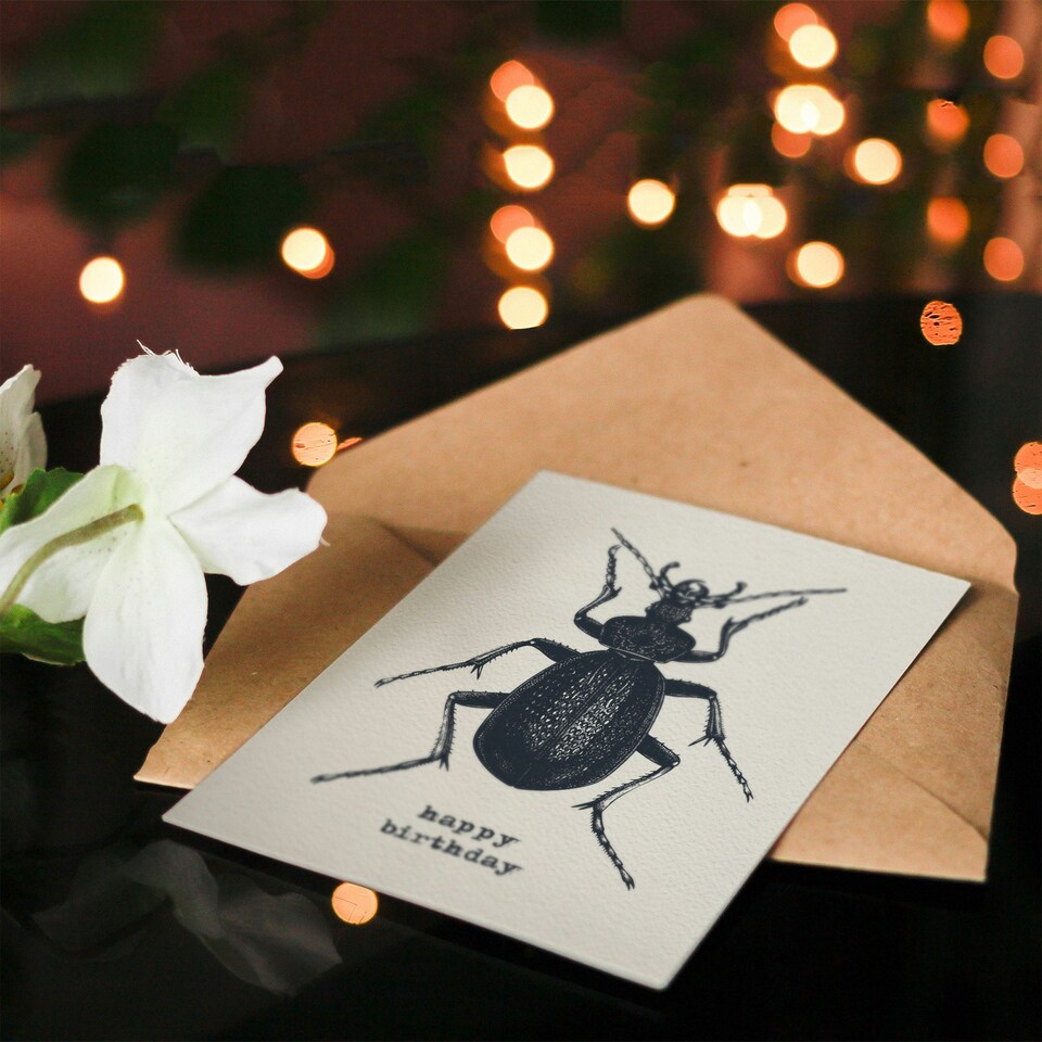 image 1 of Beetle Drawing Vintage Style Creepy Crawly Birthday Card