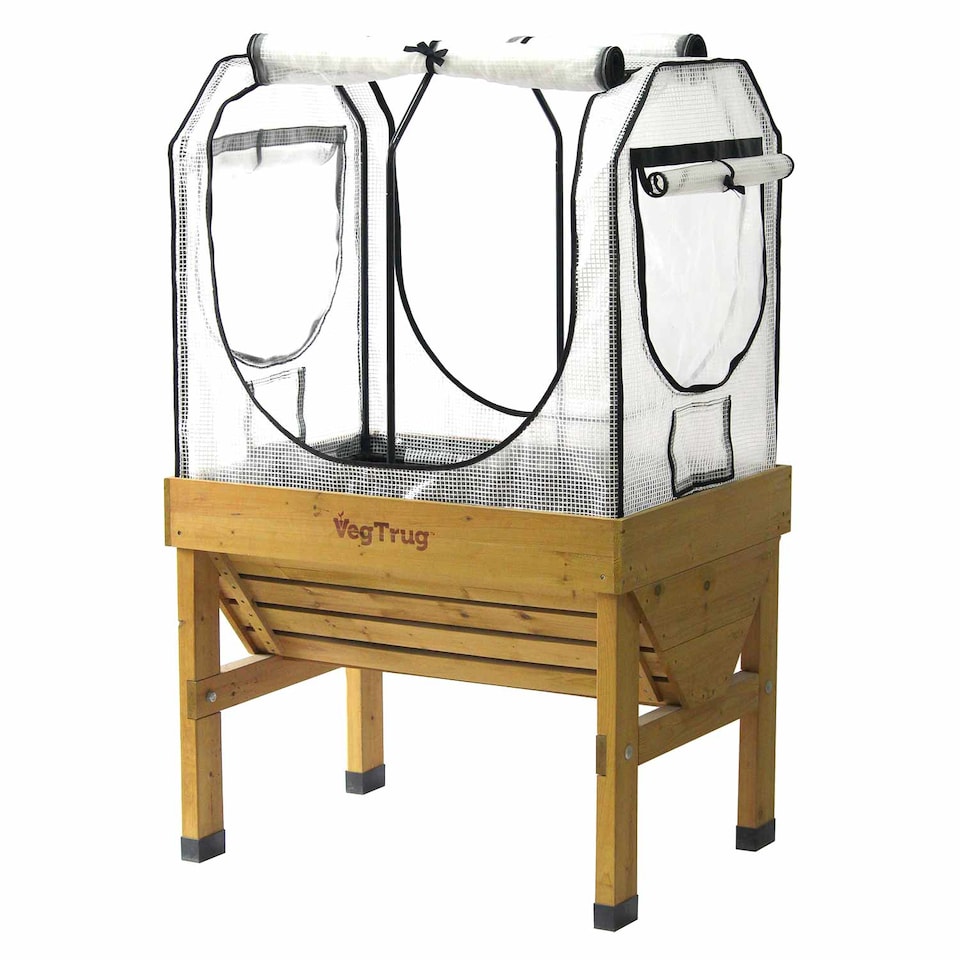 image 1 of VegTrug Small Greenhouse Frame & PE Micro-Mesh Cover Set