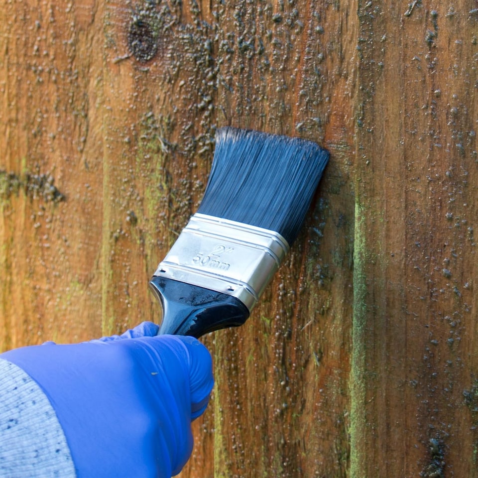 image 1 of Roxil 100 Green Mould, Algae & Lichen Killer 5L and 2 x Roxil Wood Waterproofing Cream Bundle for Decking, Shed, Fence and Others