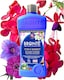 image 1 of Bronte Heritage Collection Tub and  Hanging Basket Plant Food 1L Concentrated Organic Liquid Fertiliser, Seaweed-Enriched