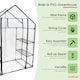 image 2 of 3-Tier 4 Shelf Mini Walk-in Growhouse Garden Greenhouse
