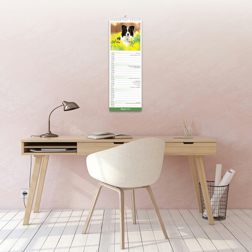 image 1 of Border Collie Slim 2026 Calendar | Slimline Wall Calendar | Dog Breed Gift | Plastic Free Packaging | by Avonside Publishing [Calendar] Avonside Publishing Ltd
