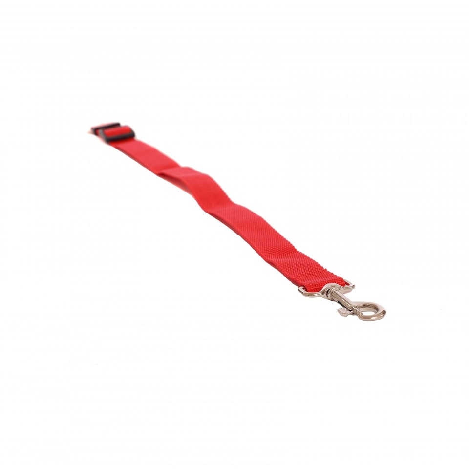 image 1 of Universal Red Dog Pet Seat Belt Safety Restraint Harness Lead | Red | Not provided