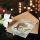 image 4 of Cute Soft Clouds Stars Girl Boy Kids Dolphin Kids Birthday Card