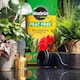 image 2 of Miracle-Gro Peat Free Houseplant Potting Mix - 10L