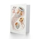 image 2 of Ernst Haeckel Art Card Lions Mane Jellyfish Illustration