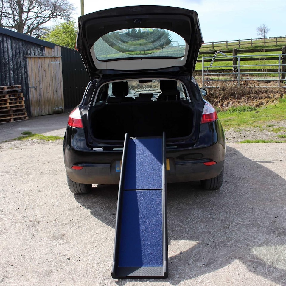 image 1 of Blue Lightweight Folding Travel Pet Ramp