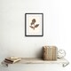 image 2 of Vintage Botanical Fittonia Leaves Nerve Plant Lover 9x7" Black Framed Wall Art Print