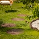 image 2 of Eco-Friendly Garden Stepping Stones - Cracked Log Brown (Pack of 4)