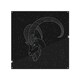 image 1 of Capricorn Zodiac Sign Dining Splash Back | White