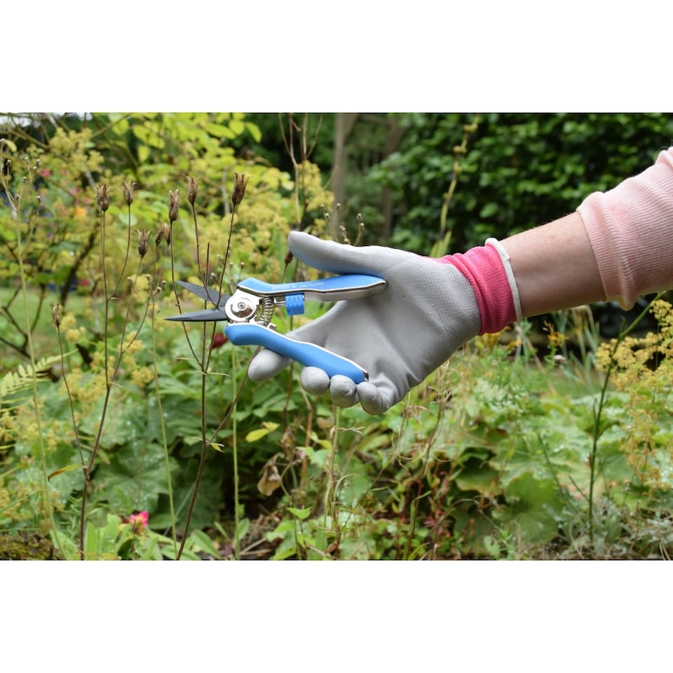 image 1 of Spear & Jackson Blue Garden Snips