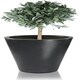 image 3 of Primrose Polystone Calgary Black Tall Indoor Outdoor Garden Planter 69cm