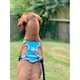 image 4 of Henry Wag Travel Dog Harness - Blue/Grey - Large