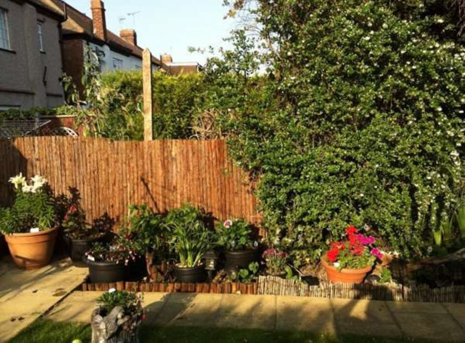 image 1 of Primrose Natural Bark Screening Garden Fence Privacy Roll Sun Protection 4m x 1.8m | Brown