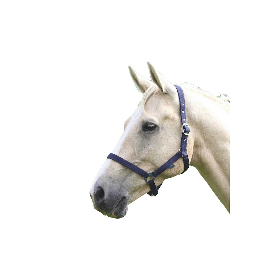 Wessex Horse Headcollar - Navy - Full