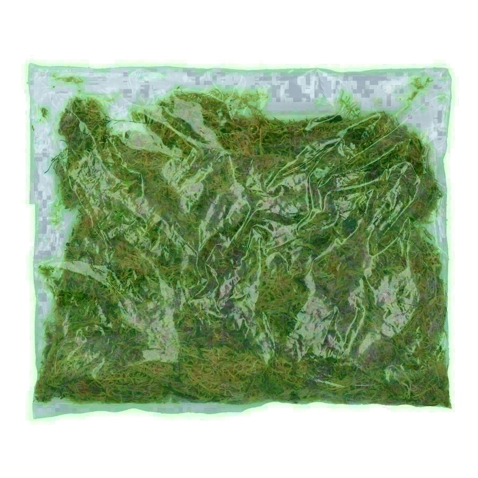 image 1 of 1 Pack of 1.5L Habitat Moss Natural Substrate For Reptile Frog Snake Gecko