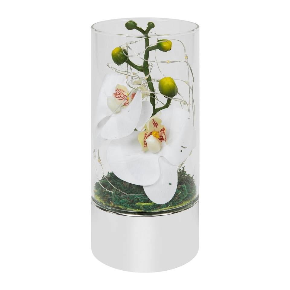 image 1 of Glass Tube Vase with White Flowers and LED Lights