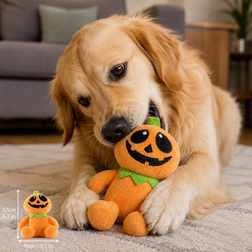 image 1 of Pumpkin Plush Halloween Character Squeaky Dog Toy 17cm