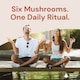 image 4 of Mushroom Complex 1800mg - 120 High Strength Tablets