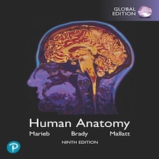 Human Anatomy Global Edition