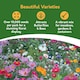 image 2 of Pronto Seed Wildflower Cottage Garden Seed Shaker - 25m2 Garden Flower Seeds | Multi | Cottage Garden 25m2 | 1