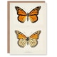 image 1 of Sherman Denton Art Card Monarch Butterfly Vintage Illustration