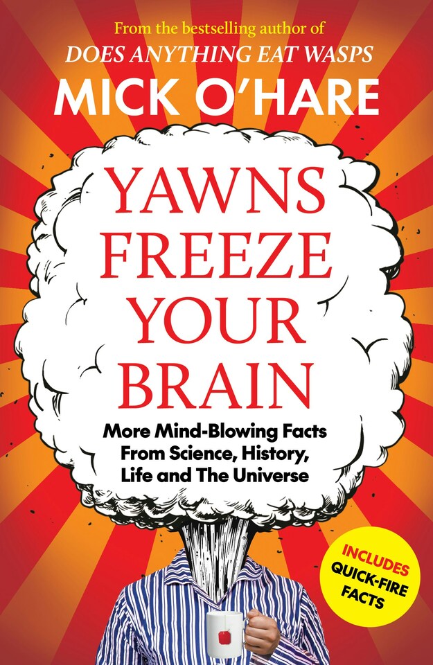 image 1 of Yawns Freeze Your Brain