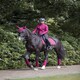 image 7 of LeMieux Classic Polo Bandages Green | Pony
